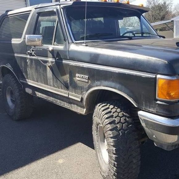 Meet your Posher, Chip - Picture 1 of 1